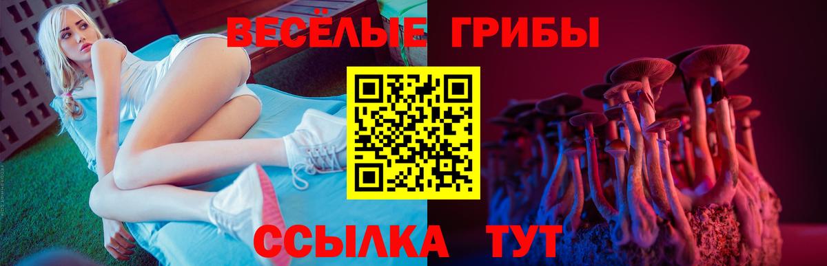 Галлюциногенные грибы прущие грибы  Вход с VPN  Алапаевск  Галлюциногенные грибы Psilocybine cubensis 