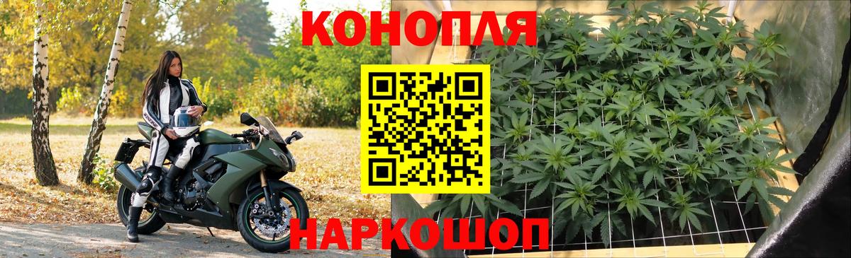 Алапаевск  Каннабис ГИДРОПОН  Бошки Шишки план  Вход с VPN 